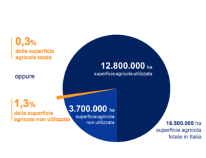 elettricità futura